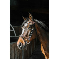 Hoofdstel Norton Pro EK-Paris Havana Bruin