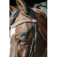 Hoofdstel Norton Pro EK-Paris Havana Bruin