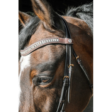 Hoofdstel Norton Pro EK-Paris Havana Bruin Hoofdstel Norton Pro EK-Paris Havana Bruin