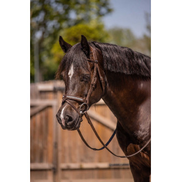 Hoofdstel Pénélope Adagio Zwart