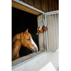 Paardenspeelgoed Hippotonic Bij Geel