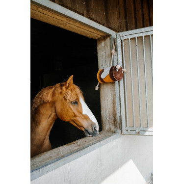 Paardenspeelgoed Hippotonic Bij Geel