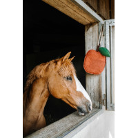 Hippotonic appeltjespeelgoed voor paarden Rood