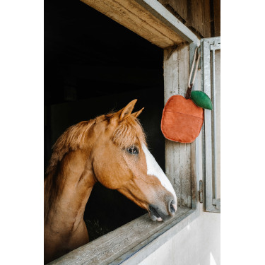 Hippotonic appeltjespeelgoed voor paarden Rood