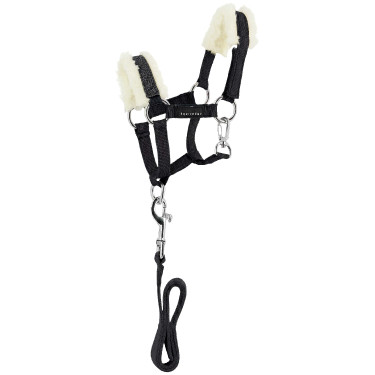 Mini halster en longe Pony Academy Zwart