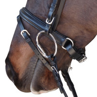 Bridon Pull Back Euro Chetak Zwart Bridon Pull Back Euro Chetak Zwart