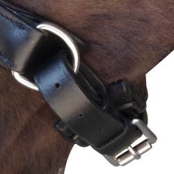Bridon Pull Back Euro Chetak Zwart Bridon Pull Back Euro Chetak Zwart