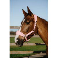 Equithème Breeze halster Roze