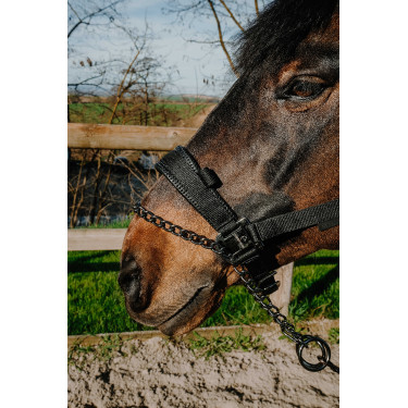 Halster Equithème Control Zwart Halster Equithème Control Zwart
