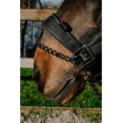 Halster Equithème Control Zwart Halster Equithème Control Zwart