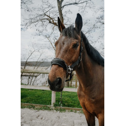 Halster Equithème Control Zwart Halster Equithème Control Zwart