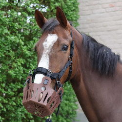 Vervangriemen voor Lami-Cell graasmasker mand Zwart
