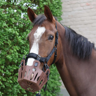 Vervangriemen voor Lami-Cell graasmasker mand Zwart