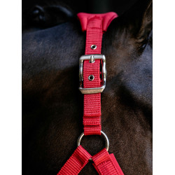 Afneembaar LeMieux Vogue halster Chili Rood Afneembaar LeMieux Vogue halster Chili Rood