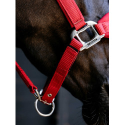 Afneembaar LeMieux Vogue halster Chili Rood Afneembaar LeMieux Vogue halster Chili Rood