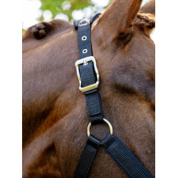 Afneembaar LeMieux Vogue halster Zwart