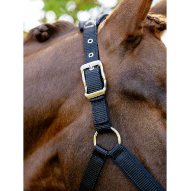 Afneembaar LeMieux Vogue halster Zwart