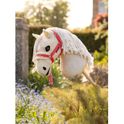 Longeerlijn en halster Hobby Horse LeMieux Harlow Coral Crush Harlow koraalverplettering Longeerlijn en halster Hobby Horse LeMieux Harlow Coral Crush Harlow koraalverplettering