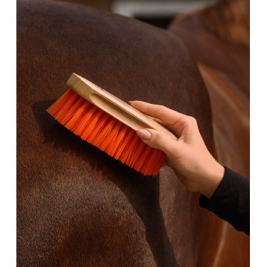 Waldhausen paardenhaarbosstel Oranje Blauw