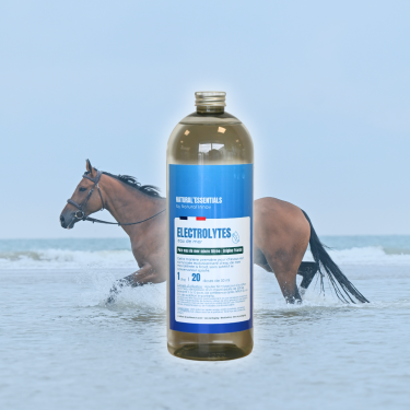 Electrolyten Natural'Innov Zeewater