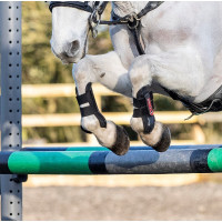 LeMieux Junior Pro peesbeschermers Zwart LeMieux Junior Pro peesbeschermers Zwart