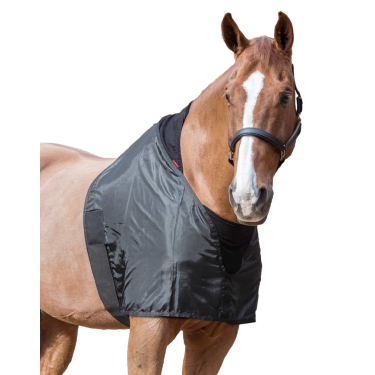 Schouderbeschermer voor paarden – Lemieux Comfort