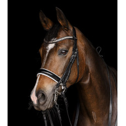 Hoofdstel Waldhausen X-Line Evermore Zwart