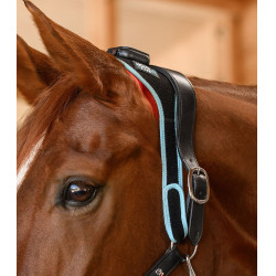 Infrarood FlexPad-halsband Waldhausen Health + Care Zwart Infrarood FlexPad-halsband Waldhausen Health + Care Zwart