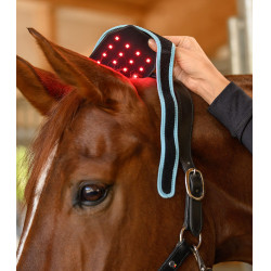 Infrarood FlexPad-halsband Waldhausen Health + Care Zwart Infrarood FlexPad-halsband Waldhausen Health + Care Zwart