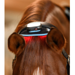 Infrarood FlexPad-halsband Waldhausen Health + Care Zwart Infrarood FlexPad-halsband Waldhausen Health + Care Zwart