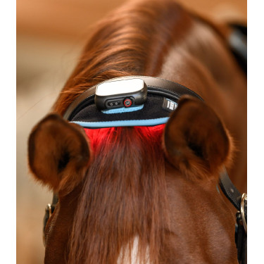 Infrarood FlexPad-halsband Waldhausen Health + Care Zwart Infrarood FlexPad-halsband Waldhausen Health + Care Zwart