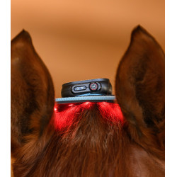 Infrarood FlexPad-halsband Waldhausen Health + Care Zwart Infrarood FlexPad-halsband Waldhausen Health + Care Zwart