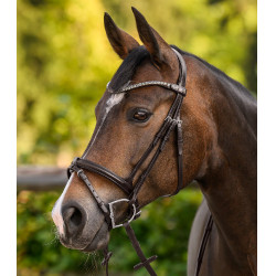 Frontriem Shine X-Line Waldhausen bruin Zilver