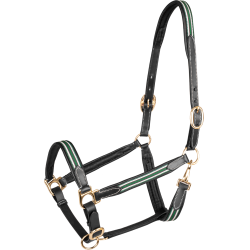 Lederen halster Oxford X-Line Waldhausen zwart Groen