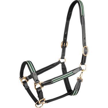 Lederen halster Oxford X-Line Waldhausen zwart Groen