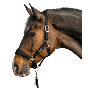 Halter en leadrope Waldhausen Velvet Zwart Halter en leadrope Waldhausen Velvet Zwart