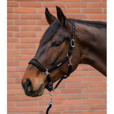Halter en leadrope Waldhausen Velvet Zwart Halter en leadrope Waldhausen Velvet Zwart