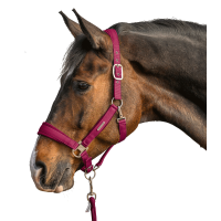 Halter en leadrope Waldhausen Velvet Zwart