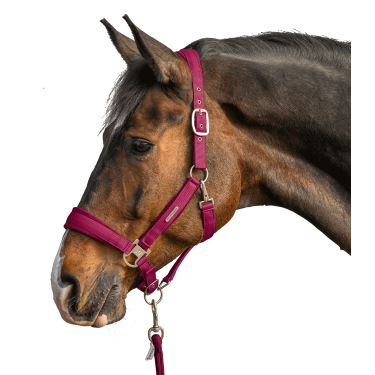 Halter en leadrope Waldhausen Velvet Granaat Rood