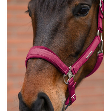 Halter en leadrope Waldhausen Velvet Granaat Rood