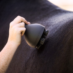 Massagegerät für Pferde Imperial Riding Volta Grooming & Relaxation Zwart