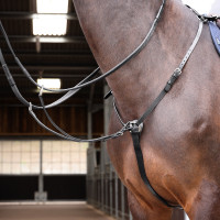 Borsttuig Hunt Weight Shires Velociti Gara Zwart