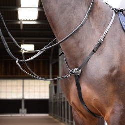 Borsttuig Hunt Weight Shires Velociti Gara Zwart Borsttuig Hunt Weight Shires Velociti Gara Zwart