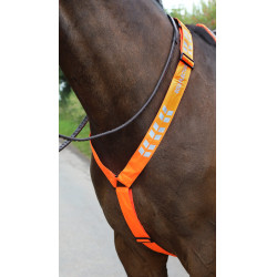 Shires Equi-Flector® borsttuig Feloranje