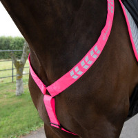 Shires Equi-Flector® borsttuig Felroze