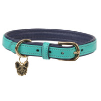 Shires Digby & Fox gewatteerde leren hondenhalsband Aqua Blauw