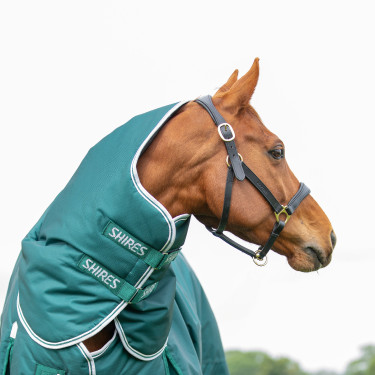 Originele 300 Shires Highlander buitenhalsstuk Groen