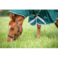 Originele 300 Shires Highlander buitenhalsstuk Groen