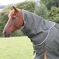 Buitenhalshoes Plus 50 Shires Highlander Groen