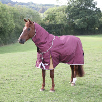 Halsteil voor buitendeken Plus 100 Shires Highlander Bordeaux